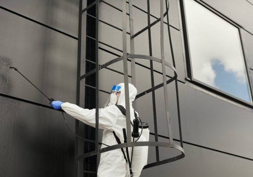 Worker Cleaning Black Facade