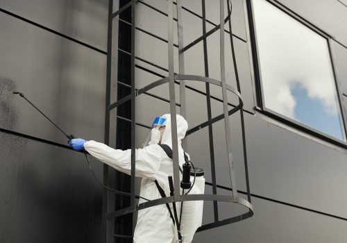 Worker Cleaning Black Facade Worker Cleaning Black Facade